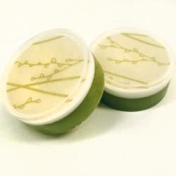 Violet Lime Scented Climbing Vines Graphic Glycerin Soap